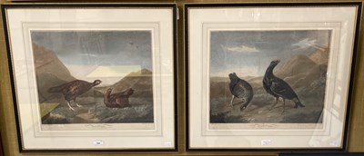 Lot 743 - After Elmere, Red Game and Black Game Two...