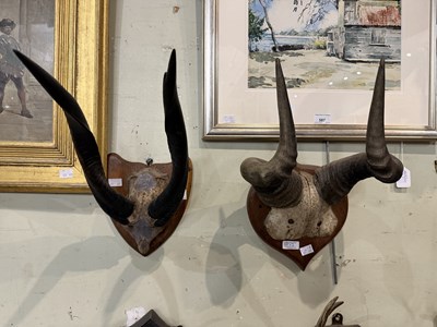 Lot 811 - An early 20th century Bushbuck horn and...