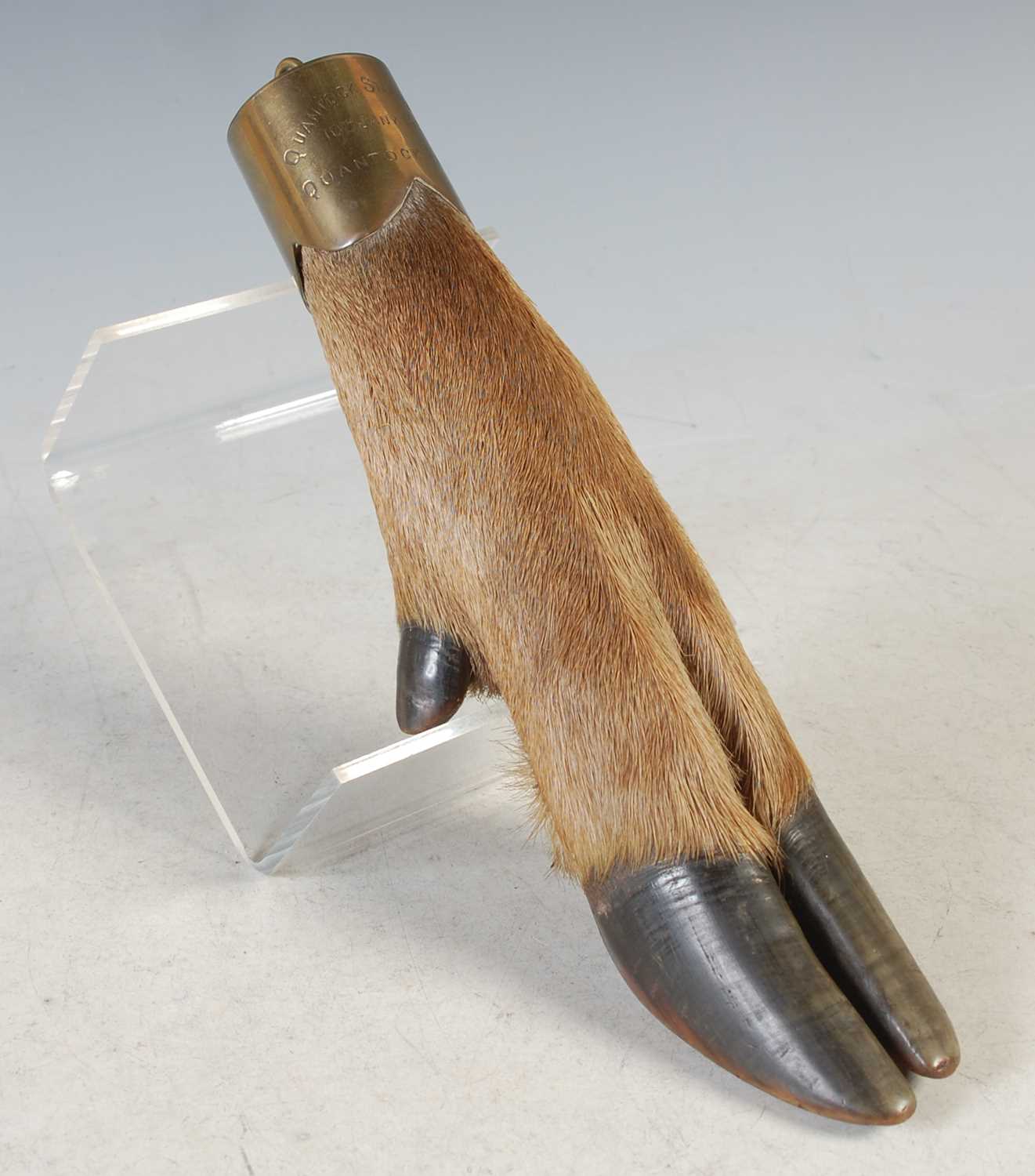 Lot 114 - An early 20th century stag foot trophy