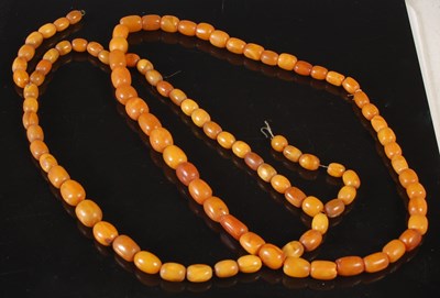 Lot 237 - Two butterscotch amber bead necklaces, gross...