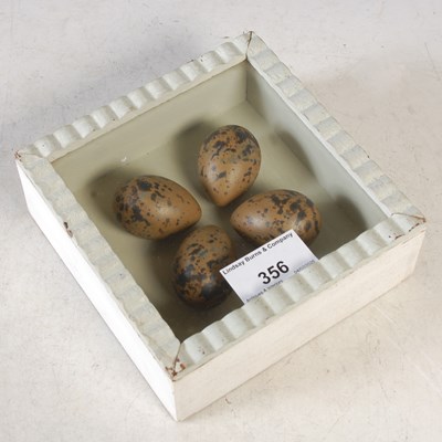 Lot 356 - A cased set of four Eurasian Dotterel painted...