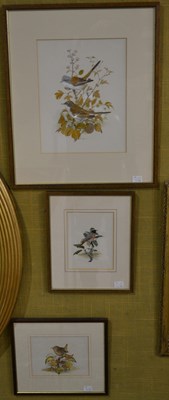 Lot 608 - Peter Hayman (B. 1930) 
Pair of Whitethroats...