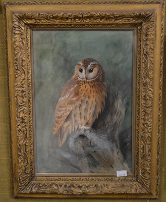 Lot 610 - Charles Stanley Todd (1923-2004) 
Portrait of...