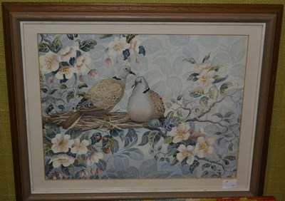 Lot 611 - Bettie Bisset  
Collared Doves nesting...