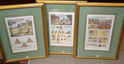 Lot 494 - A box of three agricultural prints, to include...