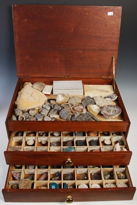 Lot 322 - Palaeontology & Mineral Interest - a...