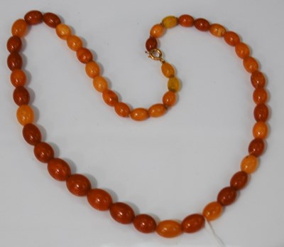 Lot 76 - A single strand butterscotch amber graduated...