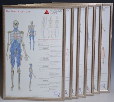 Lot 751 - A group of seven anatomy teaching aid posters,...