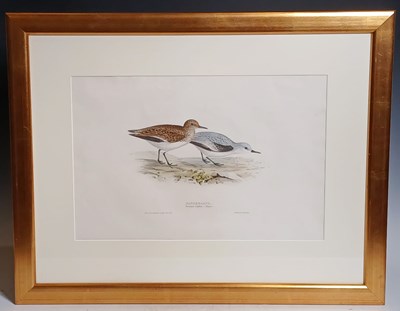 Lot 631 - After J & E Gauld Sanderlings Coloured print...