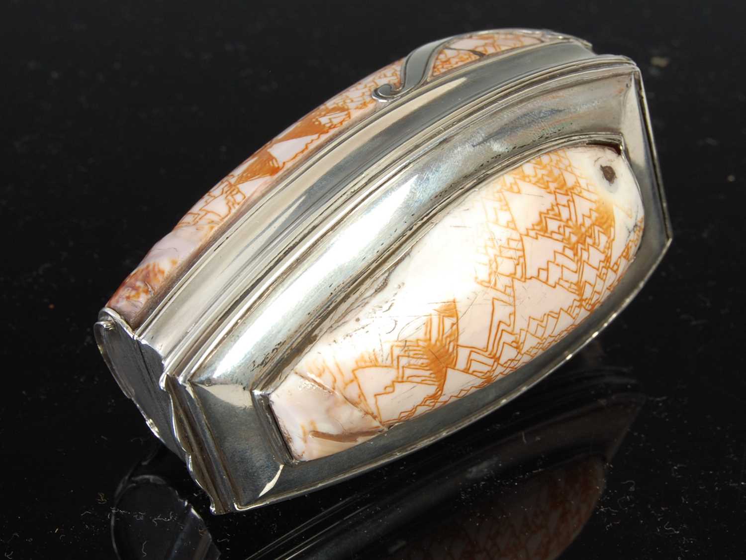 Lot 235 - An Oliva porphyria shell snuff box, with...