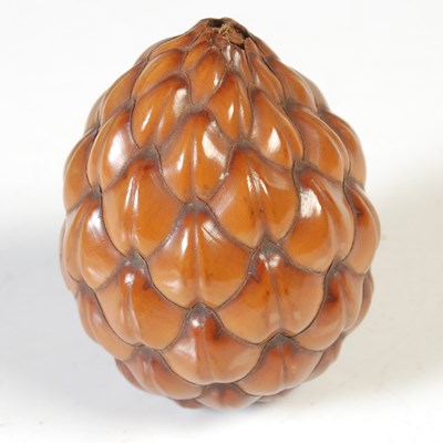 Lot 211 - A vintage palm fruit nut pod, 50mm long.