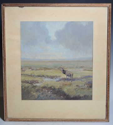 Lot 713 - Harold Frank Wallace (1881-1962) Stag on a...