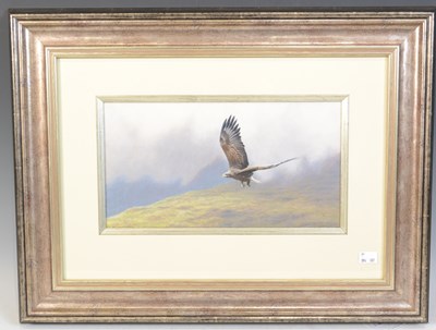 Lot 660 - Andrew Hutchinson (B. 1961) 
A white-tailed...