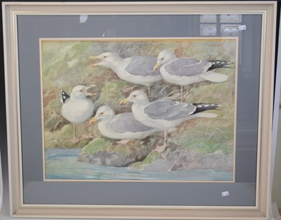 Lot 676 - Ralston Gudgeon (1910-1984) 
Five seagulls...