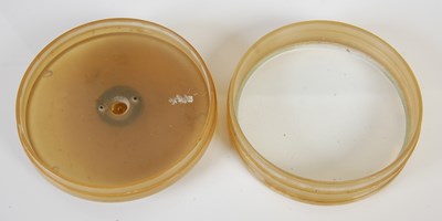 Lot 245 - A Scottish horn circular snuff box with glass...