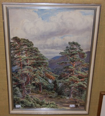 Lot 560 - Gerturde Martineau (1840-1924) Trees by Lochan...