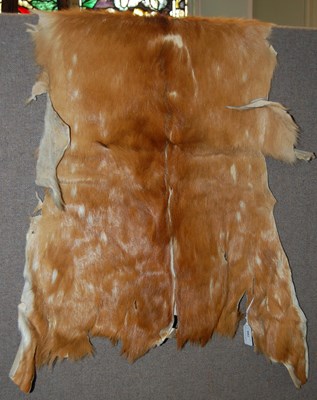 Lot 799 - Two animal pelts