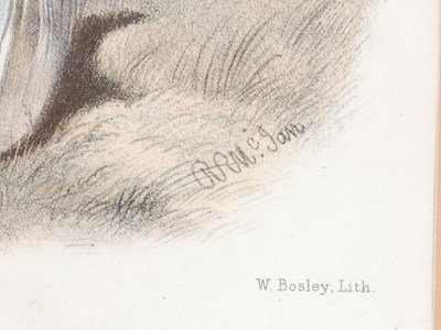 Lot 295 - After Robert Roland McIan (British, 1803-1856)...