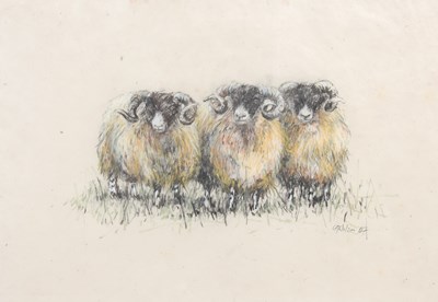 Lot 327 - AR Gillian M. Wilson Three Tups and Tup two...