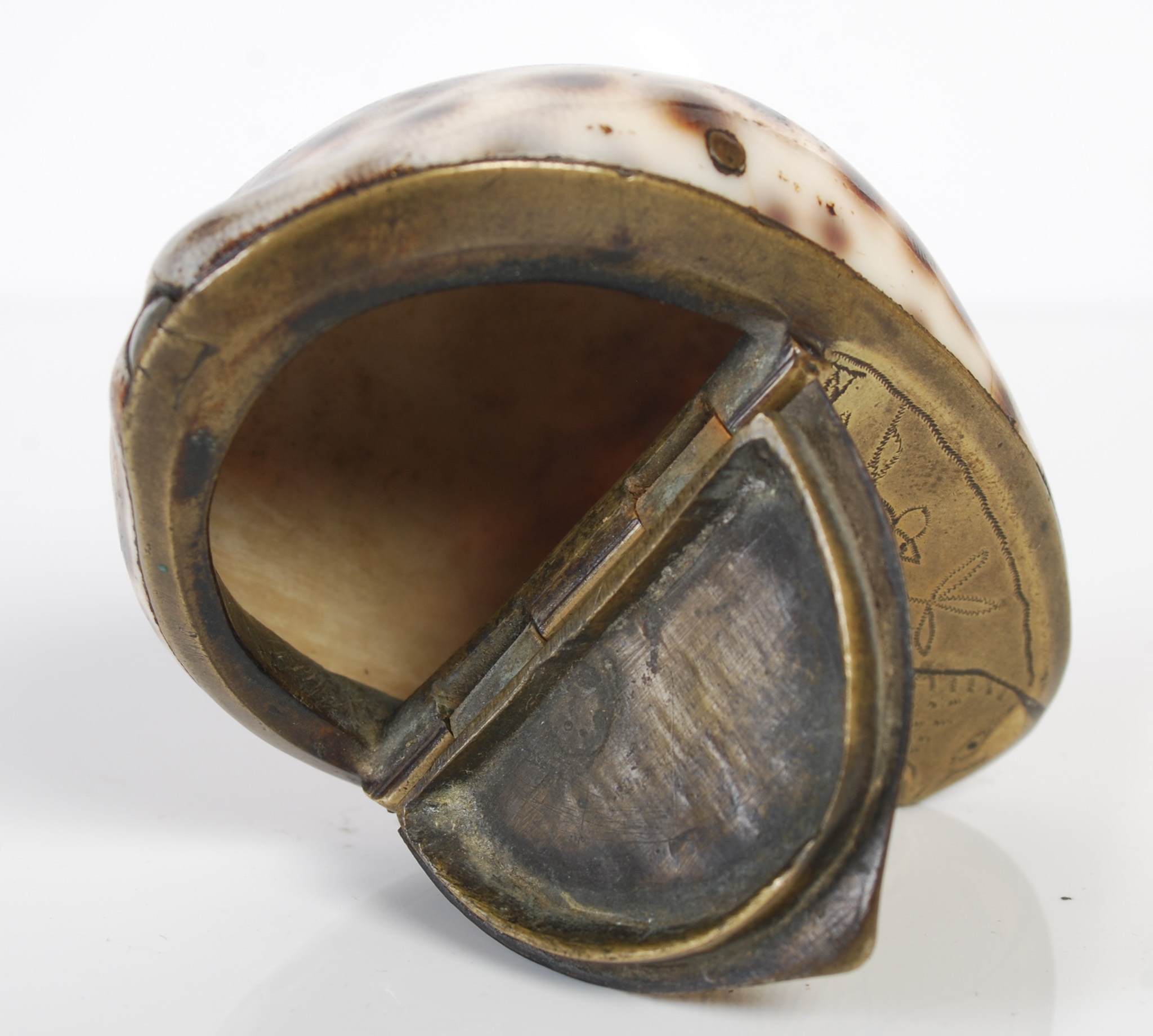 Shell Snuff Box England Lot 281 - A cowrie shell snuff box,
