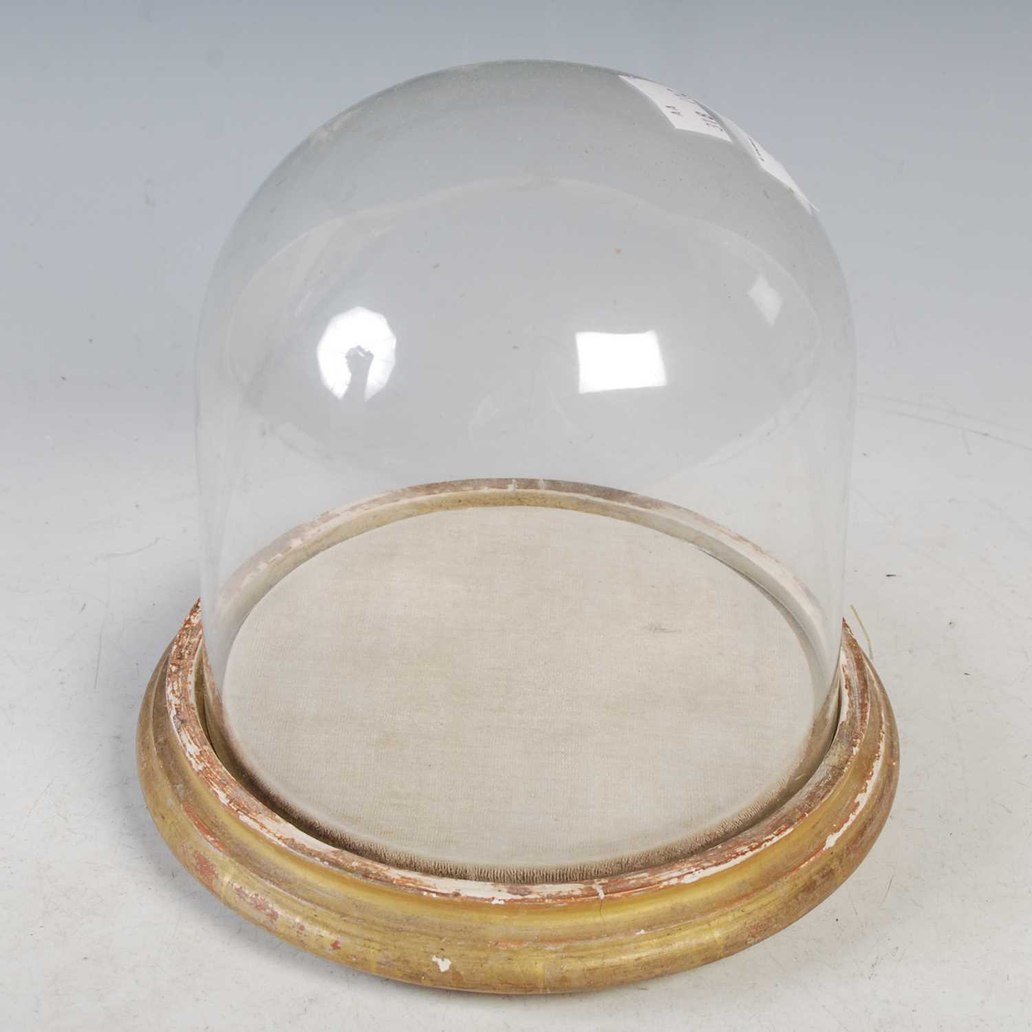 Lot 333 - A circular domed display case, the detachable...