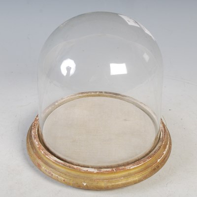 Lot 333 - A circular domed display case, the detachable...