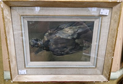 Lot 562 - David Tindle RA (British, b.1932) Pigeon oil...