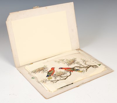 Lot 592 - Ten Chinese studies of exotic East Asian birds,...