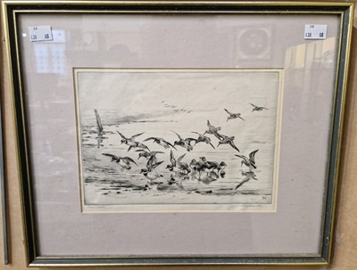 Lot 522 - Winifred Austin RI RE (1876-1964) 
Plovers...