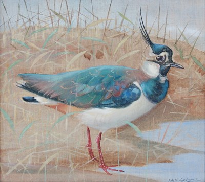 Lot 335B - AR Ralston Gudgeon (1910-1984) Peewit oil on...