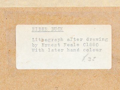 Lot 298 - After Ernest Neale Red Breasted Merganser,...