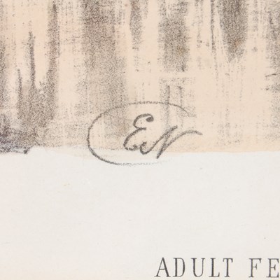 Lot 298 - After Ernest Neale Red Breasted Merganser,...