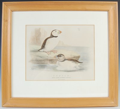Lot 298 - After Ernest Neale Red Breasted Merganser,...