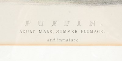 Lot 298 - After Ernest Neale Red Breasted Merganser,...