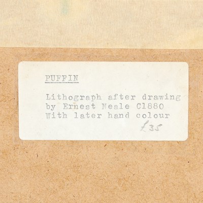 Lot 298 - After Ernest Neale Red Breasted Merganser,...