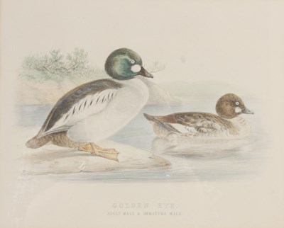 Lot 298 - After Ernest Neale Red Breasted Merganser,...