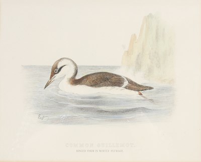 Lot 298 - After Ernest Neale Red Breasted Merganser,...