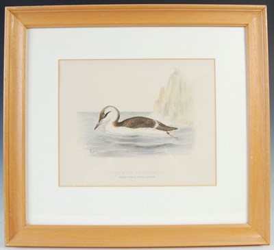 Lot 298 - After Ernest Neale Red Breasted Merganser,...