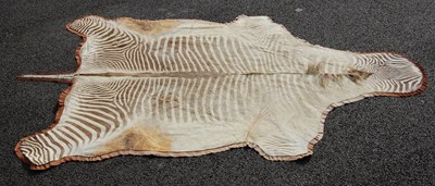 Lot 129G - A late 19th / early 20th century Zebra skin...