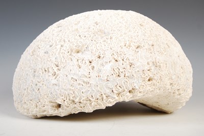 Lot 128 - A coral specimen, approximately 31cm diameter...
