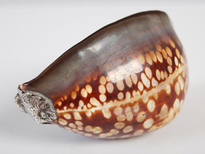 Lot 280 - A silver-mounted Mauritia Maculifera cowrie...