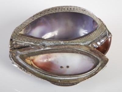 Lot 280 - A silver-mounted Mauritia Maculifera cowrie...