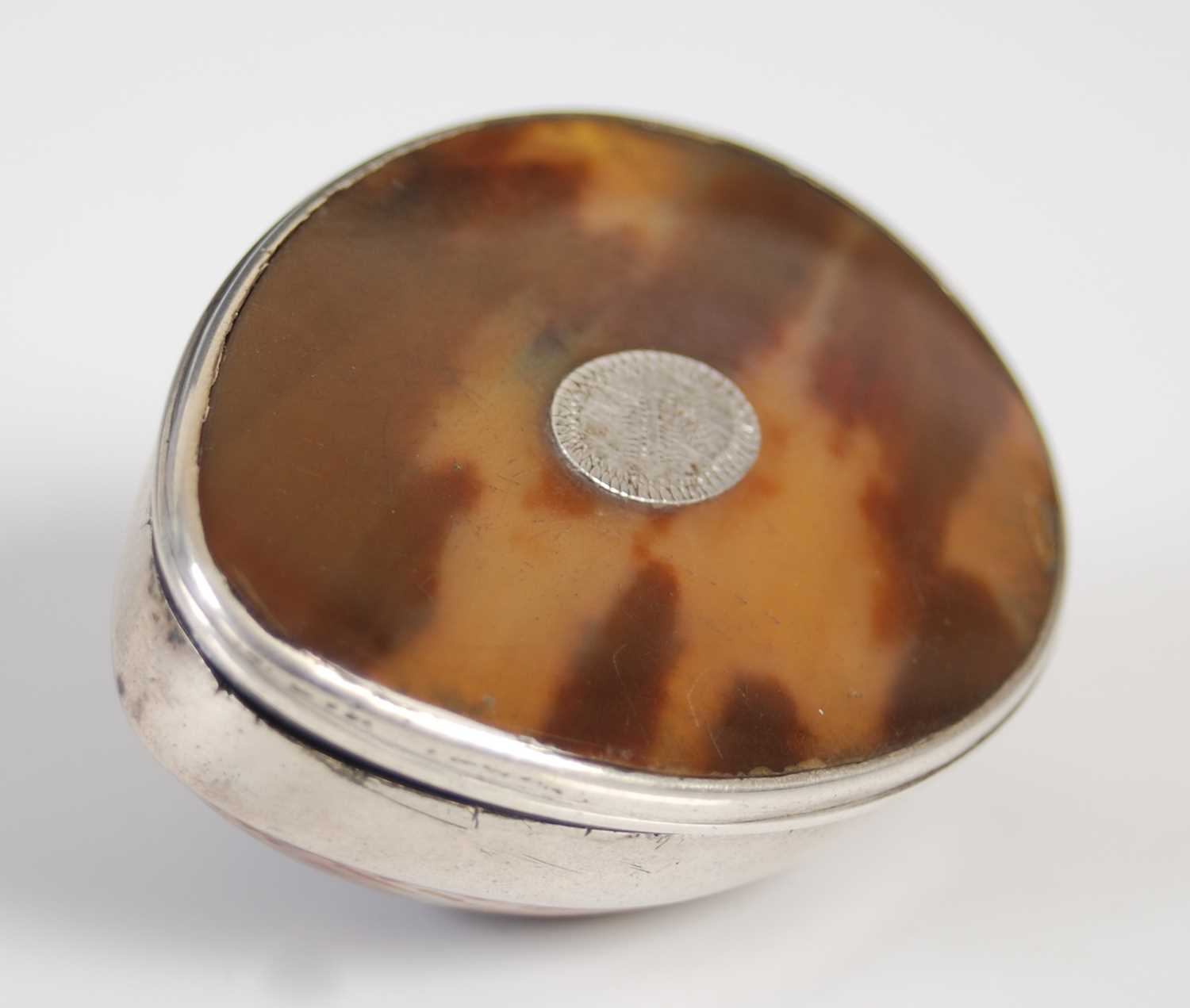Shell Snuff Box England Lot 255 - A small cowrie shell snuff box with