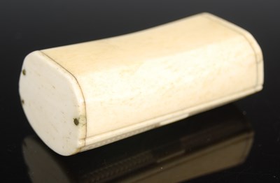 Lot 251 - A bone trunk-shaped oblong snuff box, the...