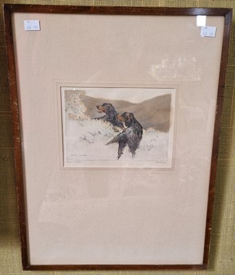 Lot 686 - James McArdle Gordon Setters coloured etching,...