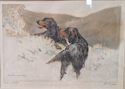 Lot 686 - James McArdle Gordon Setters coloured etching,...