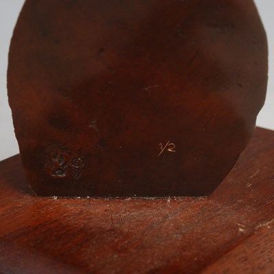 Lot 249 - A Wildtrack wildlife art bronze figure of a...